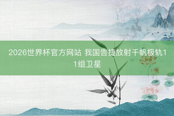 2026世界杯官方网站 我国告捷放射千帆极轨11组卫星