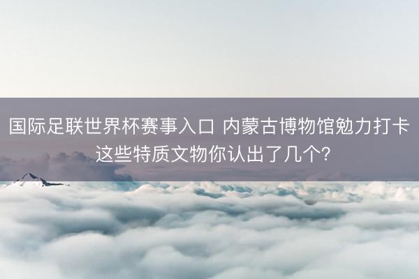 国际足联世界杯赛事入口 内蒙古博物馆勉力打卡 这些特质文物你认出了几个？
