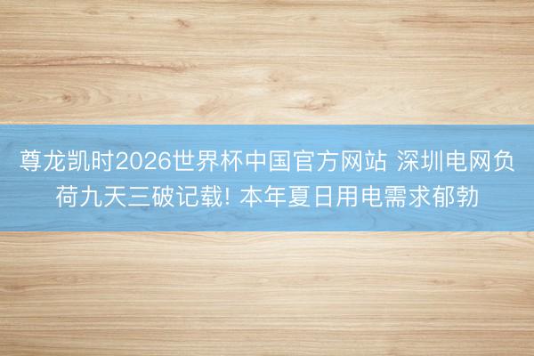 尊龙凯时2026世界杯中国官方网站 深圳电网负荷九天三破记载! 本年夏日用电需求郁勃